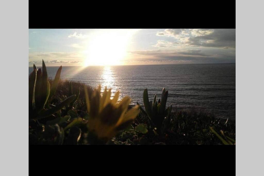 فيلا A Casa Da Foz Moradia Com Vista Mar سيسيمبرا المظهر الخارجي الصورة